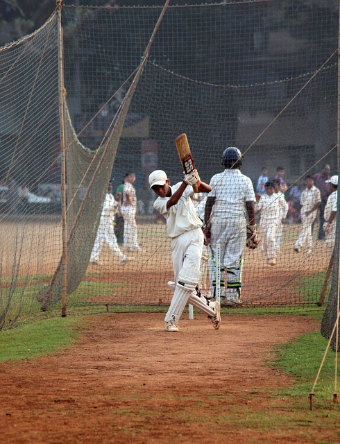 The Business of Cricket Coaching: Insights and Opportunities