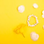 Reddybook Review: How the Innovative Platform Boosts Learning and the Role of 11xplay Integration